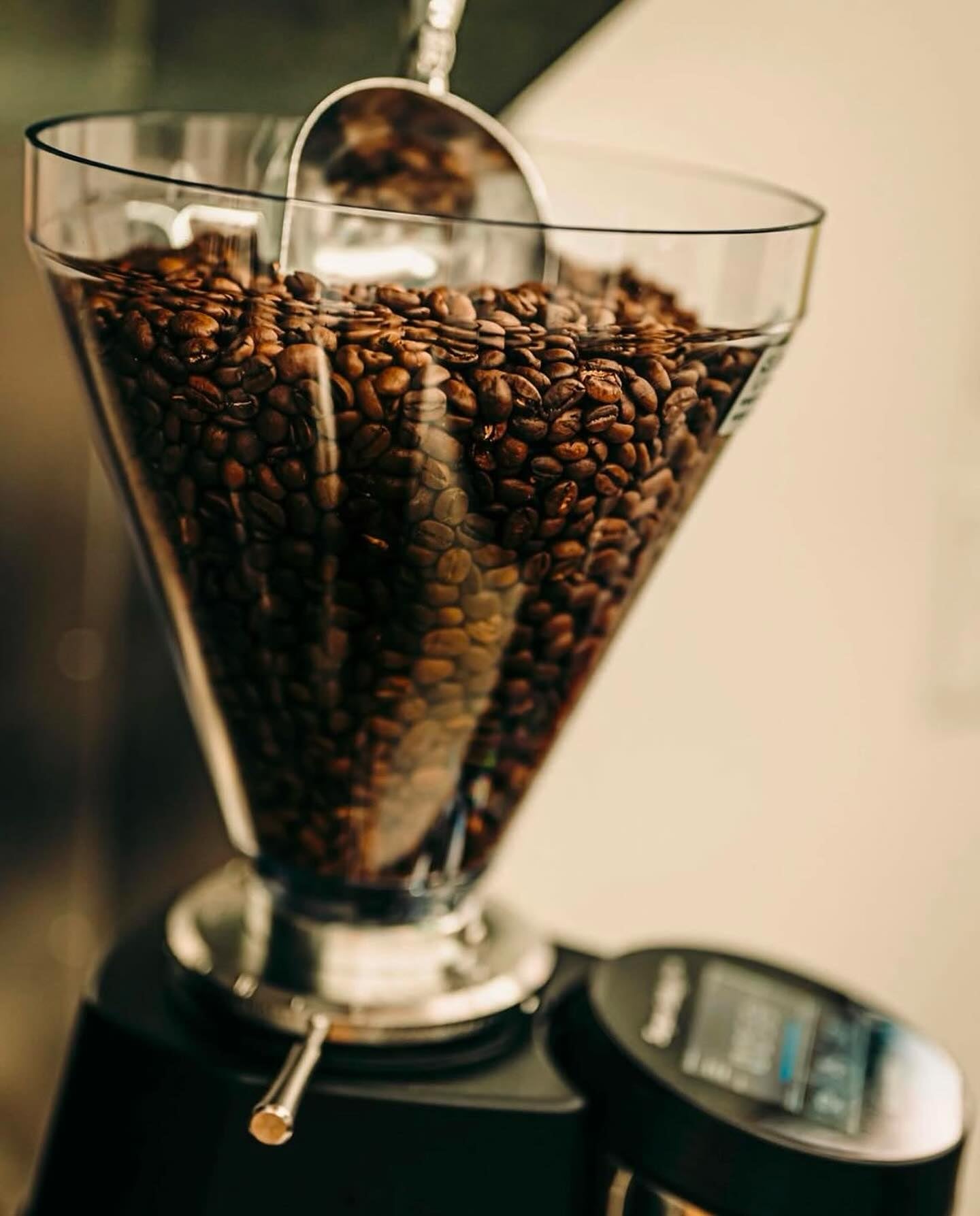 Coffee | Brew21